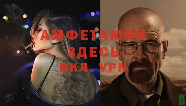 apvp Белокуриха
