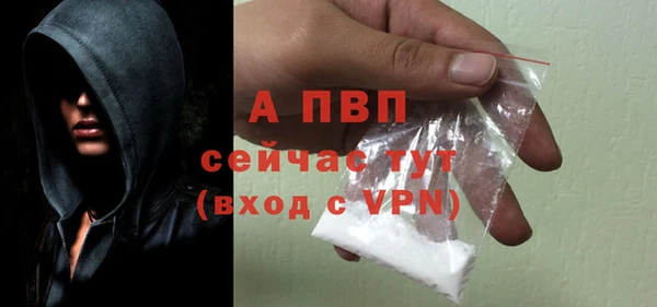 ПСИЛОЦИБИНОВЫЕ ГРИБЫ Беломорск