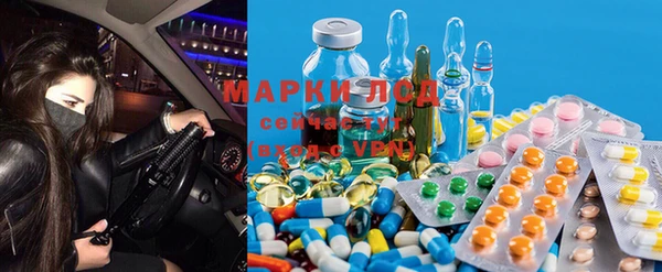 ПСИЛОЦИБИНОВЫЕ ГРИБЫ Беломорск