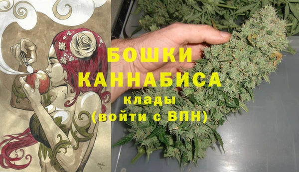 ПСИЛОЦИБИНОВЫЕ ГРИБЫ Беломорск